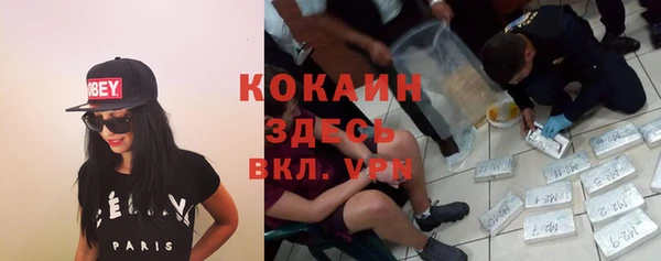 а пвп мука Гусь-Хрустальный
