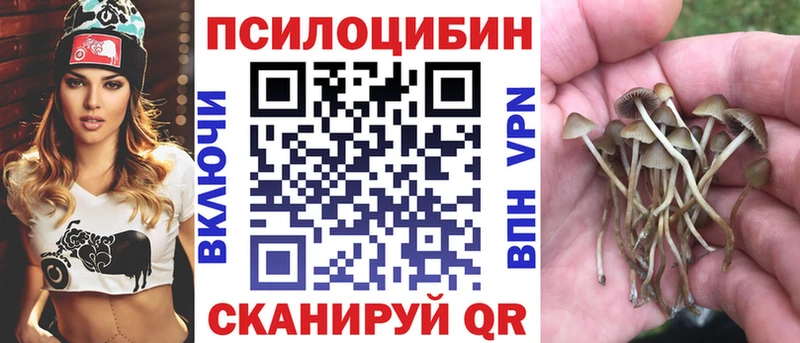 Купить Кинешма Псилоцибиновые грибы Psilocybe